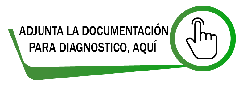Formulario de auditoría y diagnóstico legal